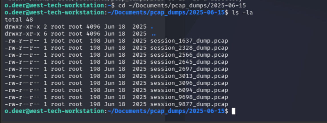 June 15 PCAP directory — 10 session files, all 198 bytes
